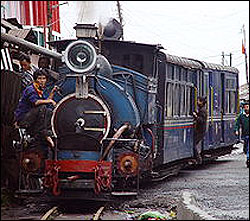 The Darjeeling Himalayan Railway, nicknamed the "Toy Train"