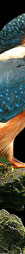 Tourist Places in Cooch Behar